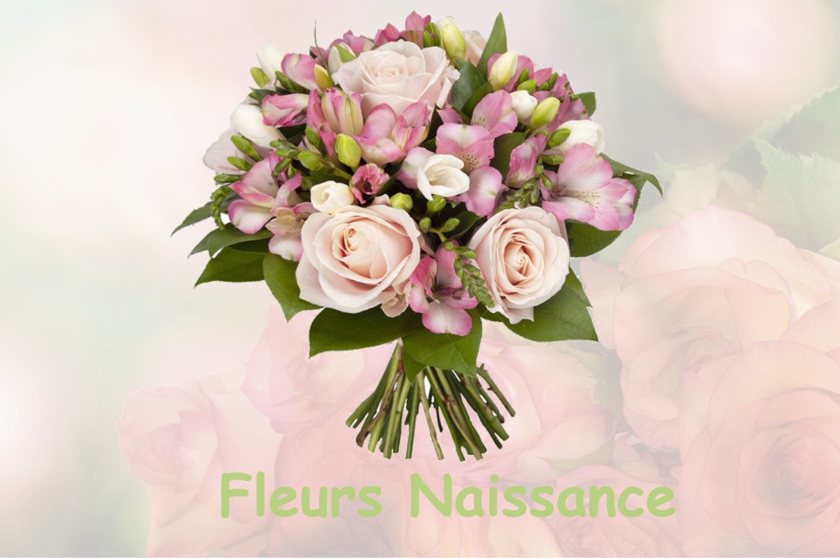 fleurs naissance SAINT-ARCONS-DE-BARGES