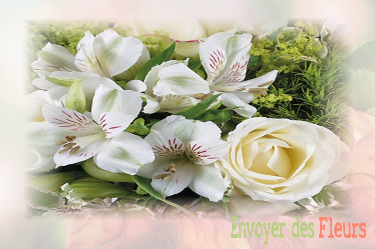 envoyer des fleurs à à SAINT-ARCONS-DE-BARGES